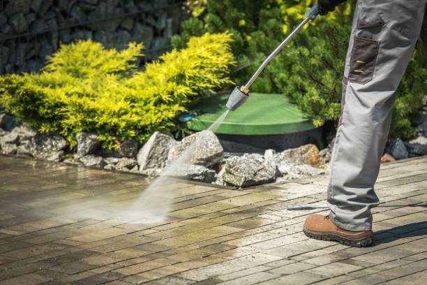 Best Animal Enclosure Cleaning  in Moonachie, NJ